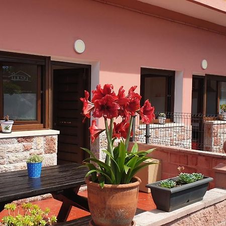 Apartamentos Fermin Cangas de Onis Bagian luar foto
